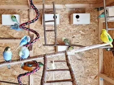 Zuchtanlage