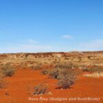 Lebensraum in Australien