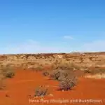 Lebensraum Lebensraum in Australien