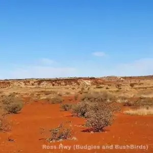 Australische Landschaft Australische Landschaft