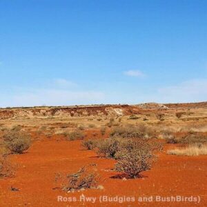 Australische Landschaft