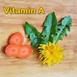 Vitamin A - Mangel beim Wellensittich
