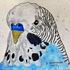 Zeichnung von K. Niederstrasser