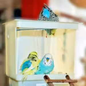 Vogeldusche mit Anti-Rutsch-Einlage