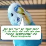 Gastbeitrag: Nur ein Vogel?