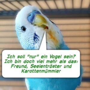 Q_Nur ein Vogel Nur ein Vogel?