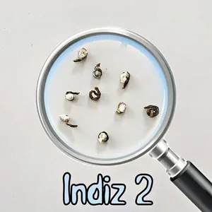 2. Indiz