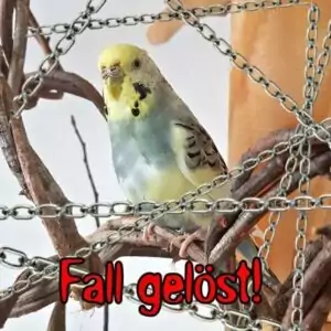 Fall gelöst!