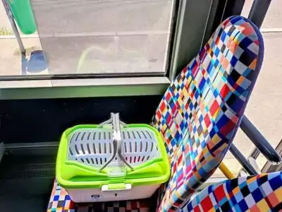 Elli im Bus