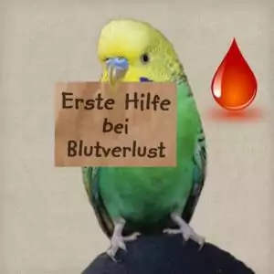 Erste Hilfe bei Blutverlust