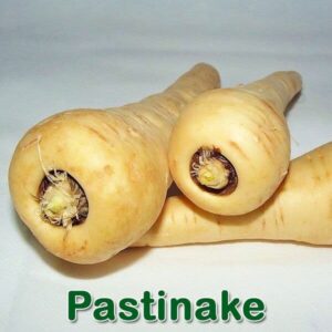 Pastinake