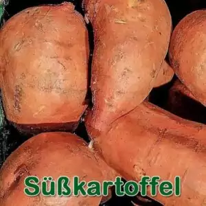 Gemüse: Süßkartoffel bzw. Batate (Ipomoea batatas)