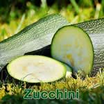 Gemüse: Zucchini (Cucurbita pepo)