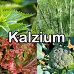 Nährstoffe: Kalzium (Calcium)