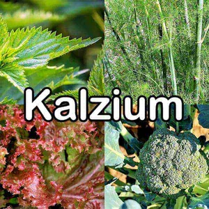 Nährstoffe: Kalzium (Calcium)