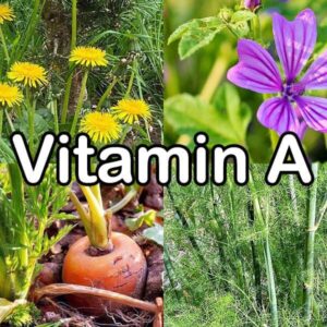 Vitamin A