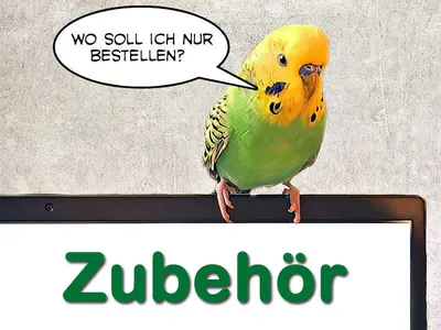 Wellensittich-Zubehör von A bis Z