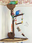 Eckspielplatz mit Wellis