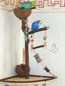 Eckspielplatz mit Wellis Eckspielplatz mit Wellis