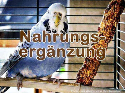 Handelsübliche Nahrungsergänzung