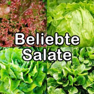 Nährstoffvergleich: Salate