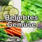 Beliebtes Gemüse für Wellensittiche