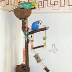 Eckspielplatz mit Wellis
