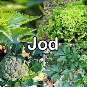 Nährstoffe: Jod (Iod)