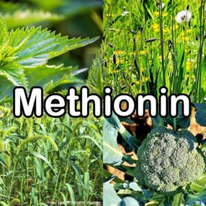 Methionin