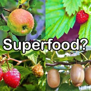 Superfood beim Obst