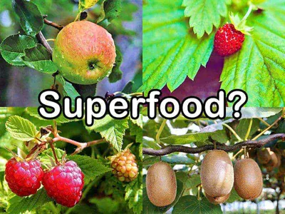 Platzhalter 4x3 Superfood beim Obst?