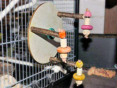 Karussell mit Spielzeug Karussell mit Spielzeug