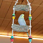 Korkleiter mit Ronja