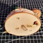 Walnuss befestigen