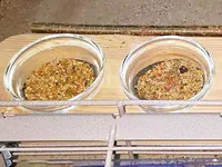Sitzstange für Futterbar