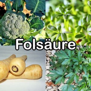 Nährstoff: Folsäure