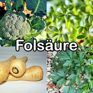 Nährstoffe: Folsäure (Vitsmin B9)