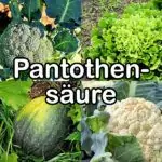 Nährstoffe: Pantothensäure (Vitamin B5)