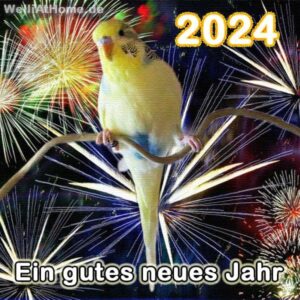 Neues Jahr 2024