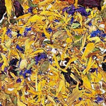 Primus Blüten-Power Mischung