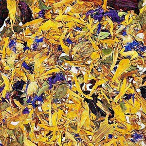 Primus Blüten-Power Mischung