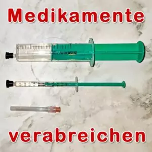 Medikamente verabreichen bei Wellensittichen