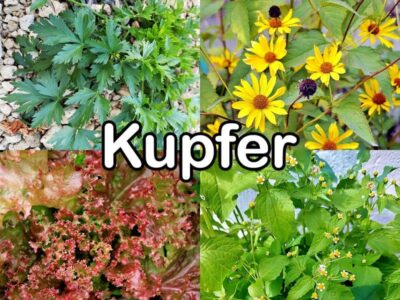 Kupfer