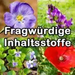Fragwürdige Inhaltsstoffe in Körnermischungen