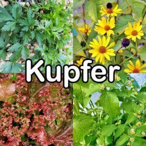 Kupfer