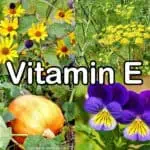 Nährstoffe: Vitamin E (α-Tocopherol)