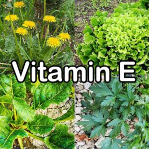 Vitamin E