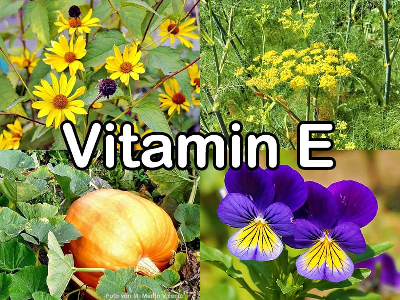 Vitamin E