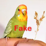 Fake