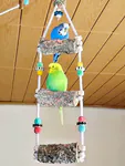 Korkleiter